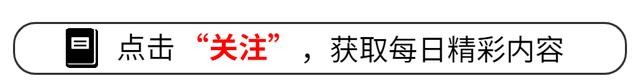 每一届锦标赛都能吸引数十万名观众亲临现场观看