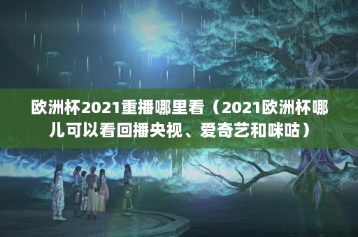 获得2021欧洲杯的直播版权的国内平台共有三家：央视、爱奇艺和咪咕