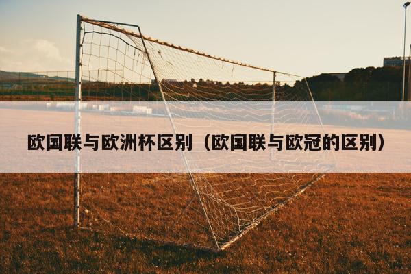 欧洲杯是由欧洲足球协会（UEFA）举办的国际足球比赛