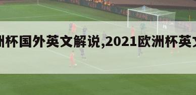 欧洲杯国外英文解说,2021欧洲杯英文解说