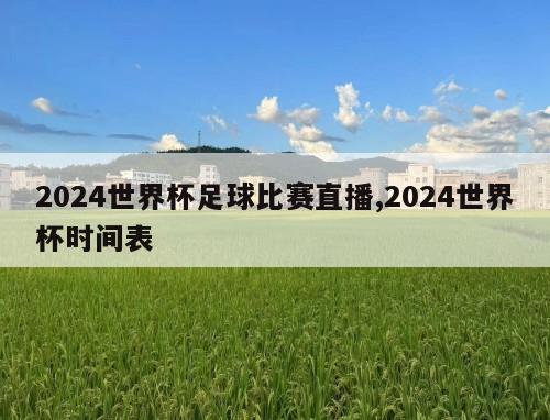 2024世界杯足球比赛直播,2024世界杯时间表