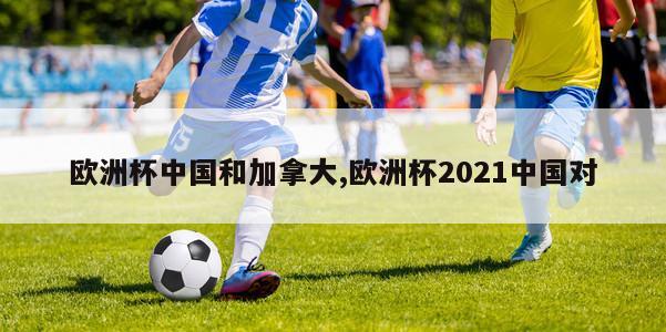 欧洲杯中国和加拿大,欧洲杯2021中国对