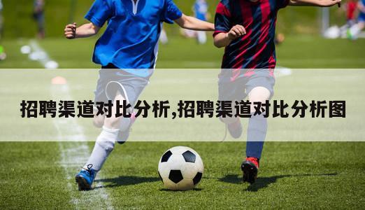 招聘渠道对比分析,招聘渠道对比分析图