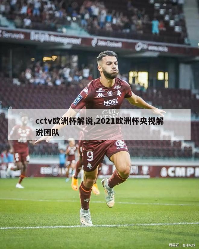 cctv欧洲杯解说,2021欧洲杯央视解说团队