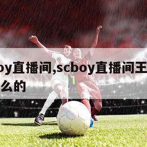 scboy直播间,scboy直播间王总是做什么的