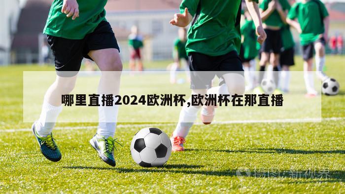 哪里直播2024欧洲杯,欧洲杯在那直播