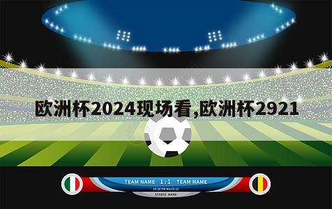 欧洲杯2024现场看,欧洲杯2921