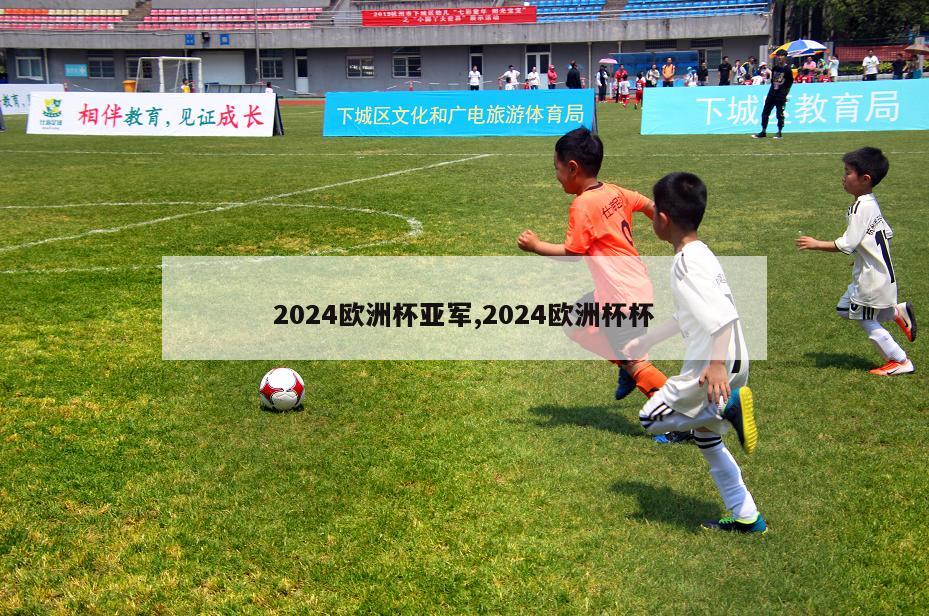 2024欧洲杯亚军,2024欧洲杯杯