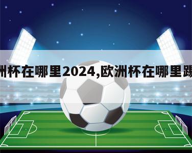 欧洲杯在哪里2024,欧洲杯在哪里踢2024