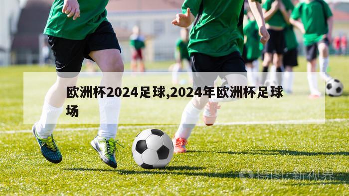 欧洲杯2024足球,2024年欧洲杯足球场