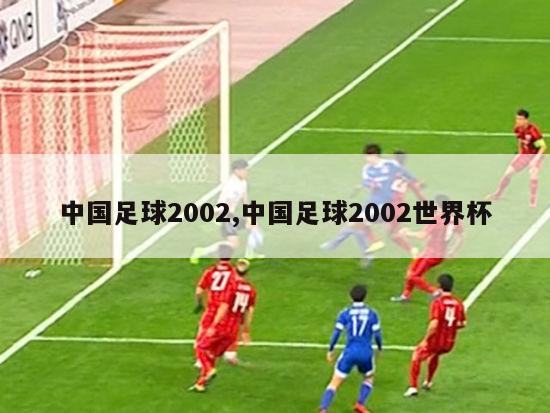 中国足球2002,中国足球2002世界杯