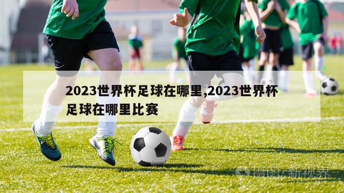 2023世界杯足球在哪里,2023世界杯足球在哪里比赛