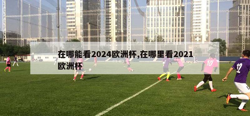 在哪能看2024欧洲杯,在哪里看2021欧洲杯