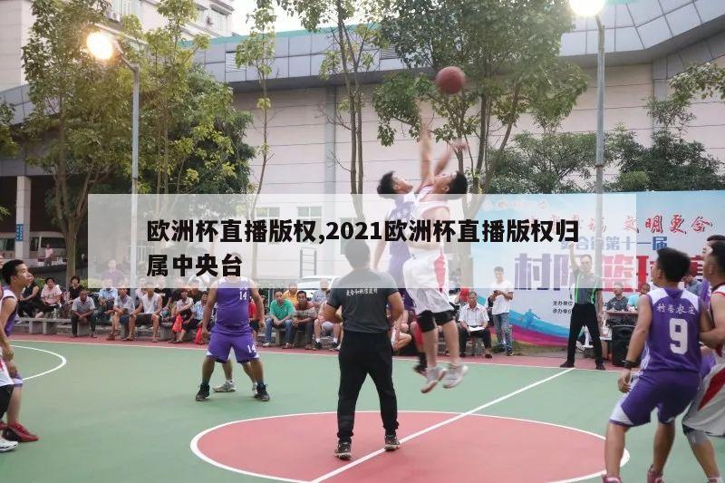 欧洲杯直播版权,2021欧洲杯直播版权归属中央台