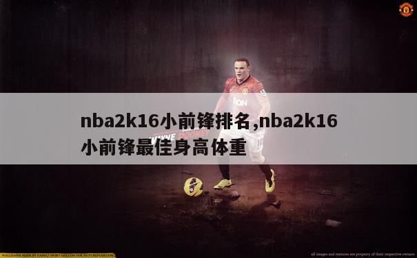 nba2k16小前锋排名,nba2k16小前锋最佳身高体重