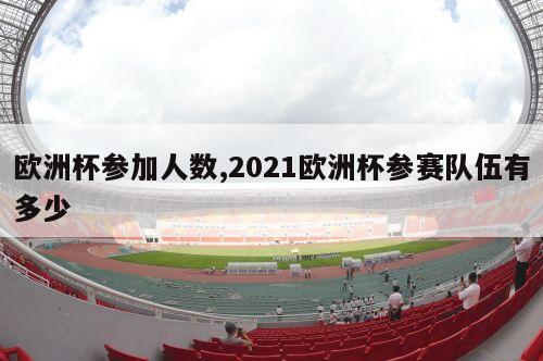 欧洲杯参加人数,2021欧洲杯参赛队伍有多少