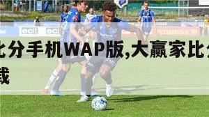 大赢家比分手机WAP版,大赢家比分手机wap版下载