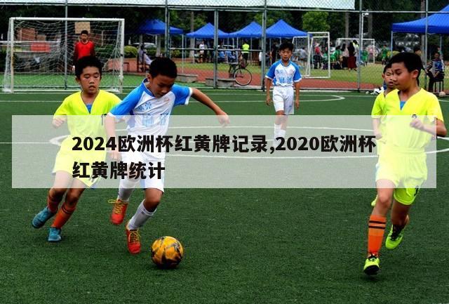 2024欧洲杯红黄牌记录,2020欧洲杯红黄牌统计