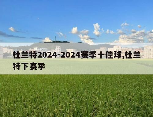 杜兰特2024-2024赛季十佳球,杜兰特下赛季