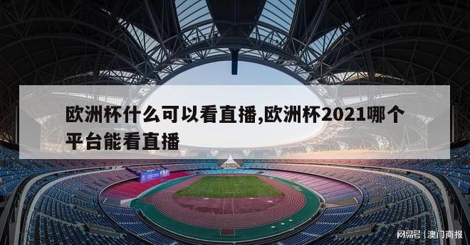 欧洲杯什么可以看直播,欧洲杯2021哪个平台能看直播