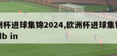 欧洲杯进球集锦2024,欧洲杯进球集锦过98db in