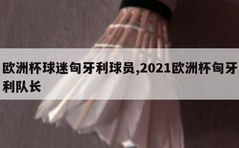 欧洲杯球迷匈牙利球员,2021欧洲杯匈牙利队长