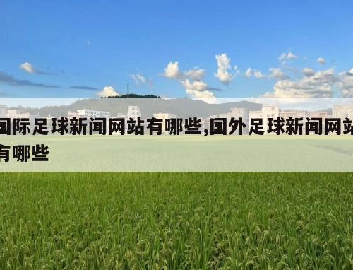 国际足球新闻网站有哪些,国外足球新闻网站有哪些