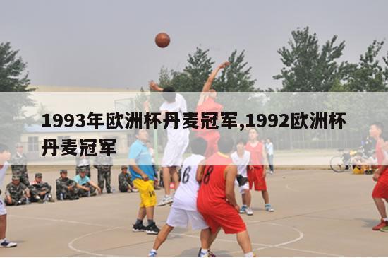 1993年欧洲杯丹麦冠军,1992欧洲杯丹麦冠军