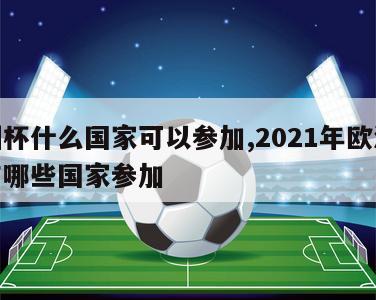 欧洲杯什么国家可以参加,2021年欧洲杯都有哪些国家参加