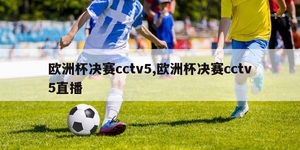 欧洲杯决赛cctv5,欧洲杯决赛cctv5直播