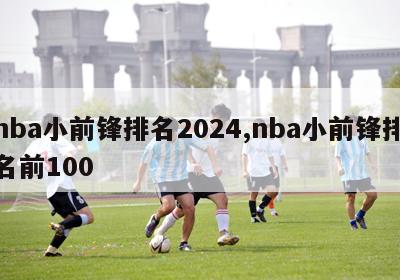 nba小前锋排名2024,nba小前锋排名前100