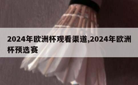 2024年欧洲杯观看渠道,2024年欧洲杯预选赛