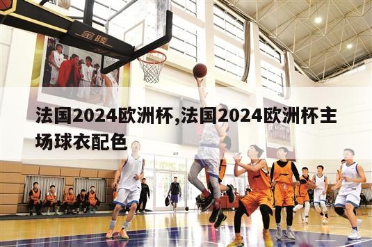 法国2024欧洲杯,法国2024欧洲杯主场球衣配色