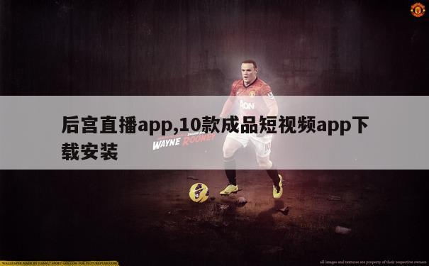 后宫直播app,10款成品短视频app下载安装