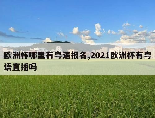 欧洲杯哪里有粤语报名,2021欧洲杯有粤语直播吗