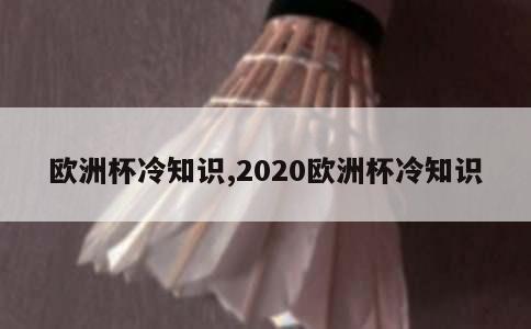 欧洲杯冷知识,2020欧洲杯冷知识