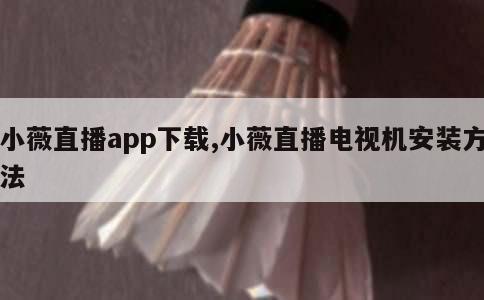 小薇直播app下载,小薇直播电视机安装方法