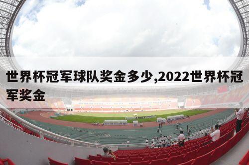 世界杯冠军球队奖金多少,2022世界杯冠军奖金