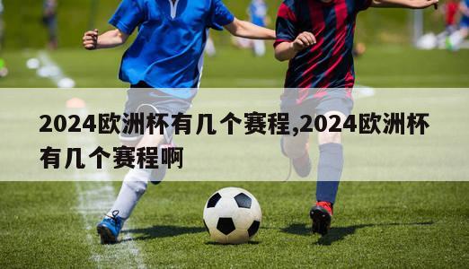 2024欧洲杯有几个赛程,2024欧洲杯有几个赛程啊