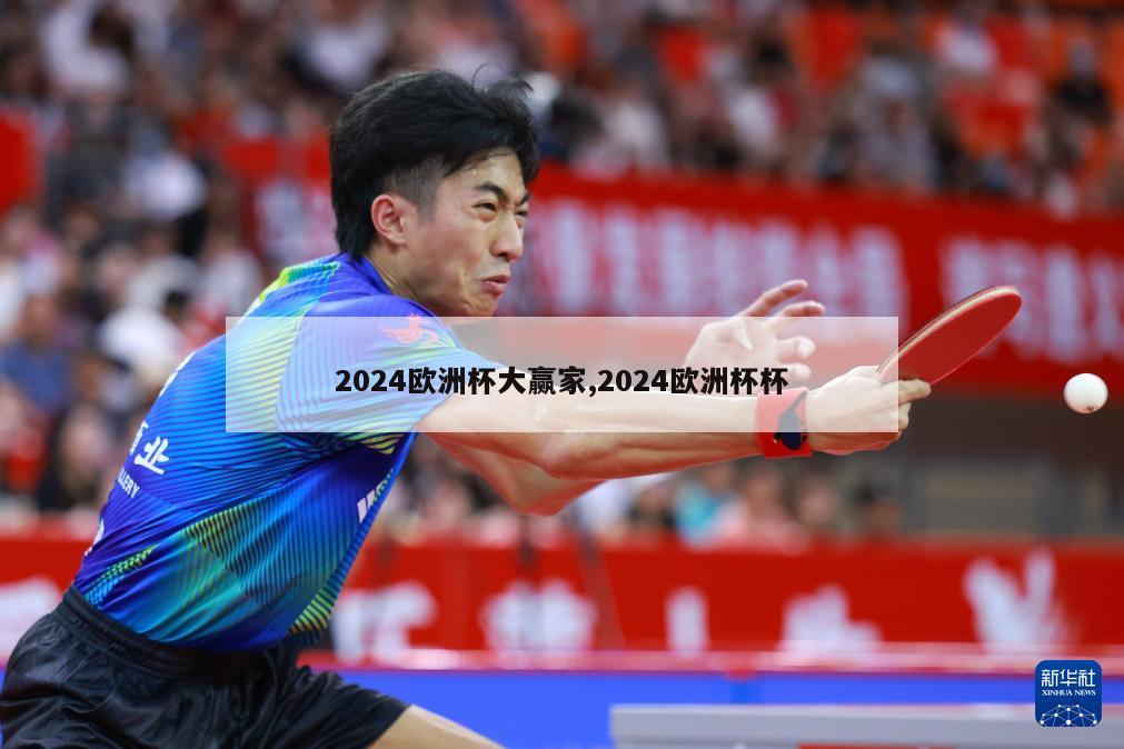 2024欧洲杯大赢家,2024欧洲杯杯