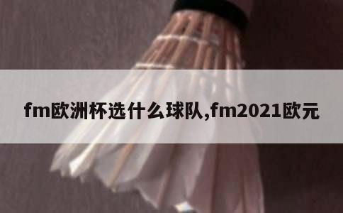 fm欧洲杯选什么球队,fm2021欧元