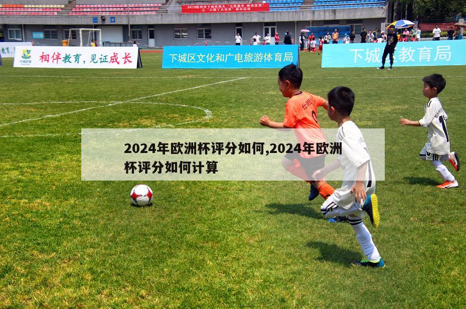 2024年欧洲杯评分如何,2024年欧洲杯评分如何计算