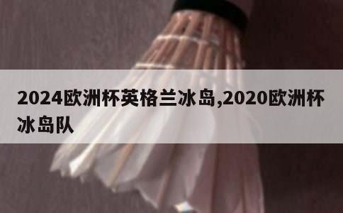 2024欧洲杯英格兰冰岛,2020欧洲杯冰岛队