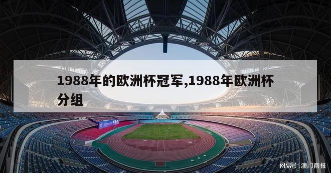 1988年的欧洲杯冠军,1988年欧洲杯分组