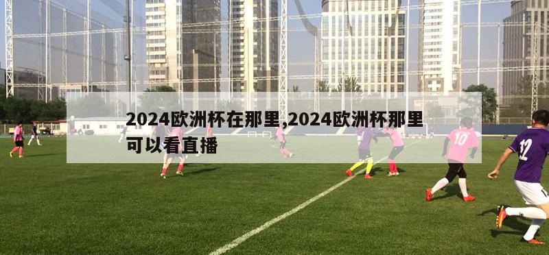 2024欧洲杯在那里,2024欧洲杯那里可以看直播