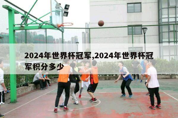 2024年世界杯冠军,2024年世界杯冠军积分多少