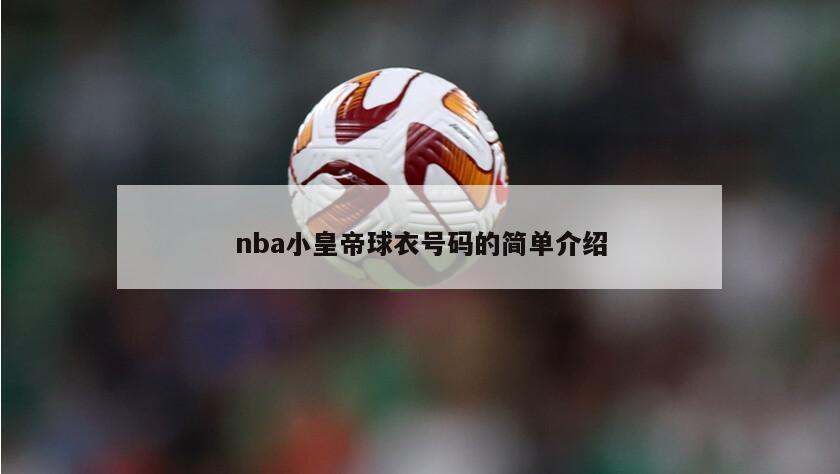 nba小皇帝球衣号码的简单介绍