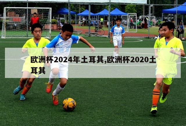 欧洲杯2024年土耳其,欧洲杯2020土耳其