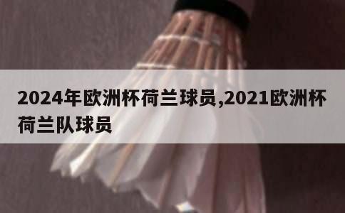 2024年欧洲杯荷兰球员,2021欧洲杯荷兰队球员