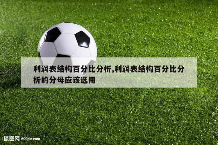 利润表结构百分比分析,利润表结构百分比分析的分母应该选用